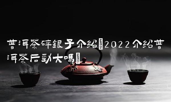 普洱茶碎银子介绍(2022介绍普洱茶后劲大吗) 普洱茶碎银子介绍(2022介绍普洱茶后劲大吗)