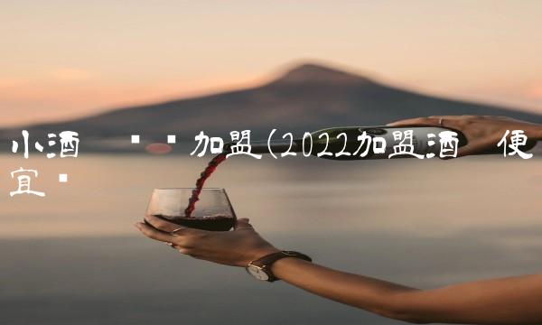 小酒吧连锁加盟(2022加盟酒吧便宜吗 小酒吧连锁加盟(2022加盟酒吧便宜吗