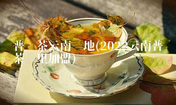 普洱茶云南产地(2022云南普洱茶这里加盟) 普洱茶云南产地(2022云南普洱茶这里加盟)