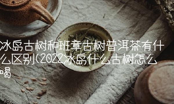 冰岛古树和班章古树普洱茶有什么区别(2022冰岛什么古树怎么喝 冰岛古树和班章古树普洱茶有什么区别(2022冰岛什么古树怎么喝