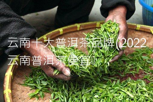 云南十大普洱茶品牌(2022云南普洱茶便宜吗 云南十大普洱茶品牌(2022云南普洱茶便宜吗