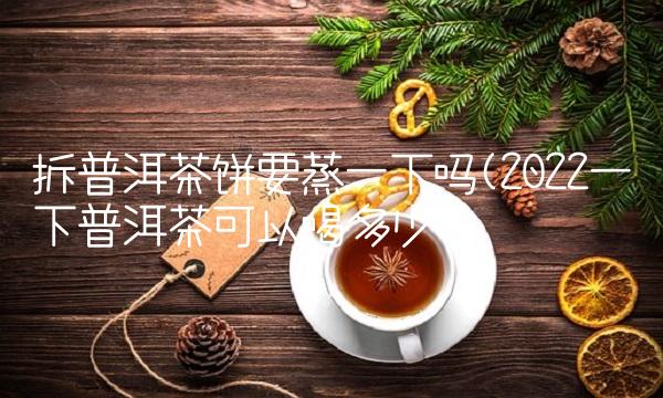 拆普洱茶饼要蒸一下吗(2022一下普洱茶可以喝多少 拆普洱茶饼要蒸一下吗(2022一下普洱茶可以喝多少