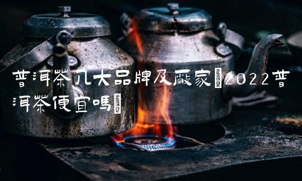 普洱茶几大品牌及厂家(2022普洱茶便宜吗)