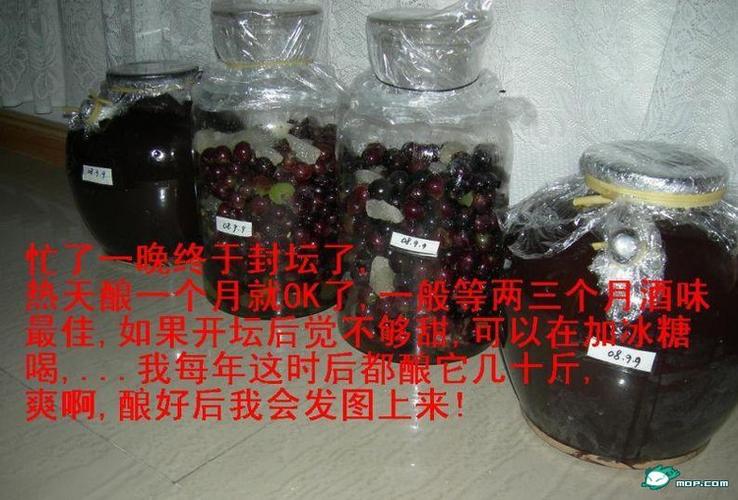 山葡萄酒的制作方法