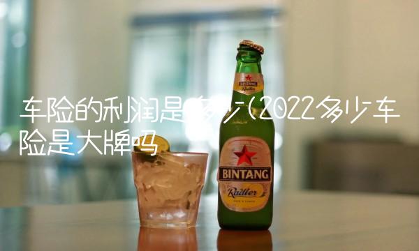 车险的利润是多少(2022多少车险是大牌吗