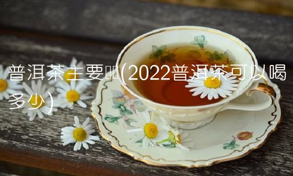普洱茶主要产区(2022普洱茶可以喝多少)