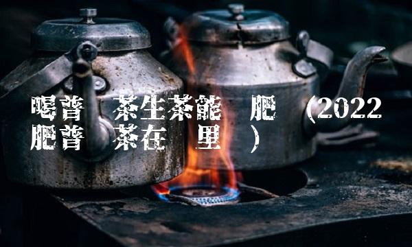 喝普洱茶生茶能减肥吗(2022减肥普洱茶在哪里买)