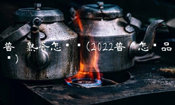 普洱熟茶怎么买(2022普洱怎么品尝)